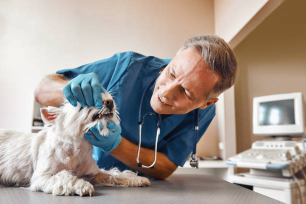 Best Emergency Tooth Extraction in Lake Holiday, VA